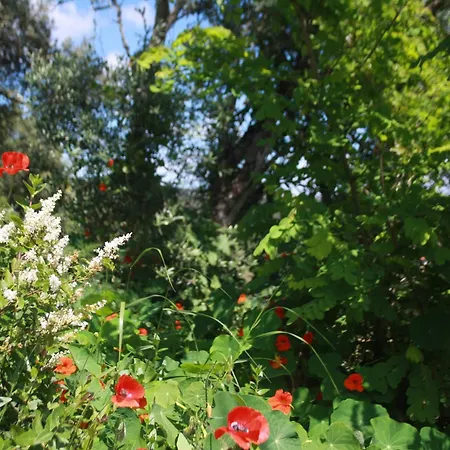 Casa Da Cerca * Όμπιδος